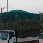 ماشاءالل  رودس ناعم