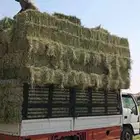 السلام وعلي م ورحمت  الل  وبر ات