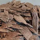 عود طبيعي آتشية