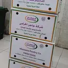 كراتين حق بيض بكميات كبيرة