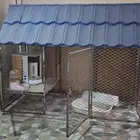 قفص حيوانات