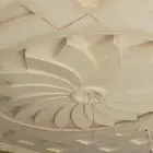 Gypsum board instructor from Pakistan