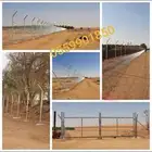 شبوك ونخيل وحجر