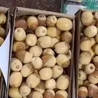 خراف هلالي مناصيف