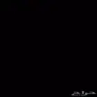 مطلوب دله عساف كوري 26