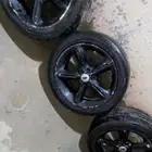 جنوط موستنق