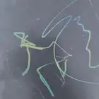 رسمه للبيع على السوم