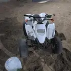 دباب سويدي