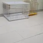 اقفاص للبيع