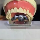 أدوات دراسية لطب الأسنان
