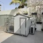 كلبه أنثى جيرمن شيبرد