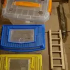 حضانات للطيور