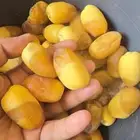 خلاص مناصيف ورطب الكرتون 8ريال