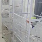 اقفاص واغراض طيور