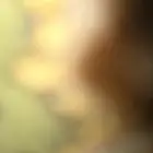 شبك