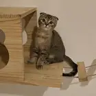للبيع بسعر رمزي