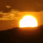 ارغب في شقه 6 غرف في المحاله ارضي نظيفه