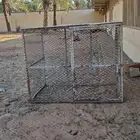 شبك بقلاوه دجاج حمام