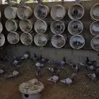 حمام سلفر (طبات) تم البيع