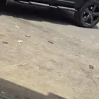 ديفندر