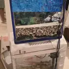 حوض سمك