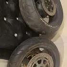 جنوط دباب هيبوزا