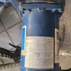 دينمو سمنان