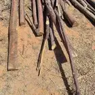 عواميد اثل(مرابيع)