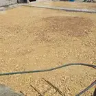 توريد دفان صبيز كساره ودفن ودق ورص