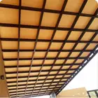 مضلات انخبه