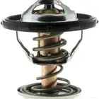 بلف رياضي كابرس