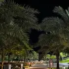 مطلوب