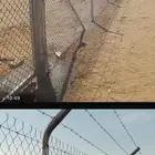 شباب نفس شبوك هذا في احد يركب مثلها في بيشه