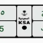 لوحة خصوصي بدح 4995