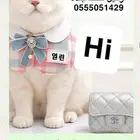 ذكر زواج. قطط