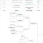 حصان