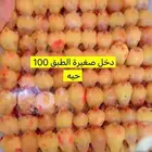 للبيع الكبير خمسن حبه. ب 200 والصغير ميه حبه ب 200