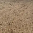 للبيع الابل كفو
