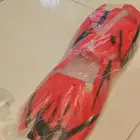 بدي سيارة ريموت باجا