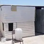 شبك