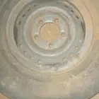 جنوط شاص شنبر