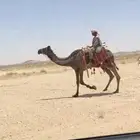 رحول مجهم طوع