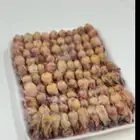 طيور