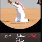 تجهيز طيور للموسم القادم نستقبل جميع الطيور