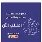 متجر كات فانز يبيع جميع مسلتزمات القطط