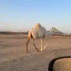 ضريبه كفو