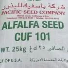 بذر برسيم بأسفك كاف 101