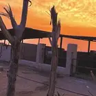 اسطبل النايف