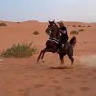 ابن ماركيز قاهر وحفيد مروان