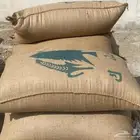 حب ذرة حمراء